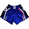Thai Fighter Muay Thai Shorts 1 Thai Fighter Muay Thai Shorts