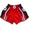 Thai Fighter Muay Thai Shorts 2 Thai Fighter Muay Thai Shorts