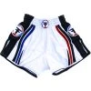 Thai Fighter Muay Thai Shorts 1 Thai Fighter Muay Thai Shorts