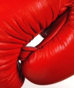 Union Boxing Gloves - Red FIGHT GLOVES