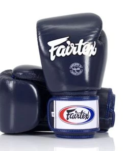 Fairtex BGV1 Boxing Gloves Blue
