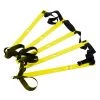 Primal Strength Rebel Commercial Fitness Ladders 2 Primal Strength Rebel Commercial Fitness Ladders